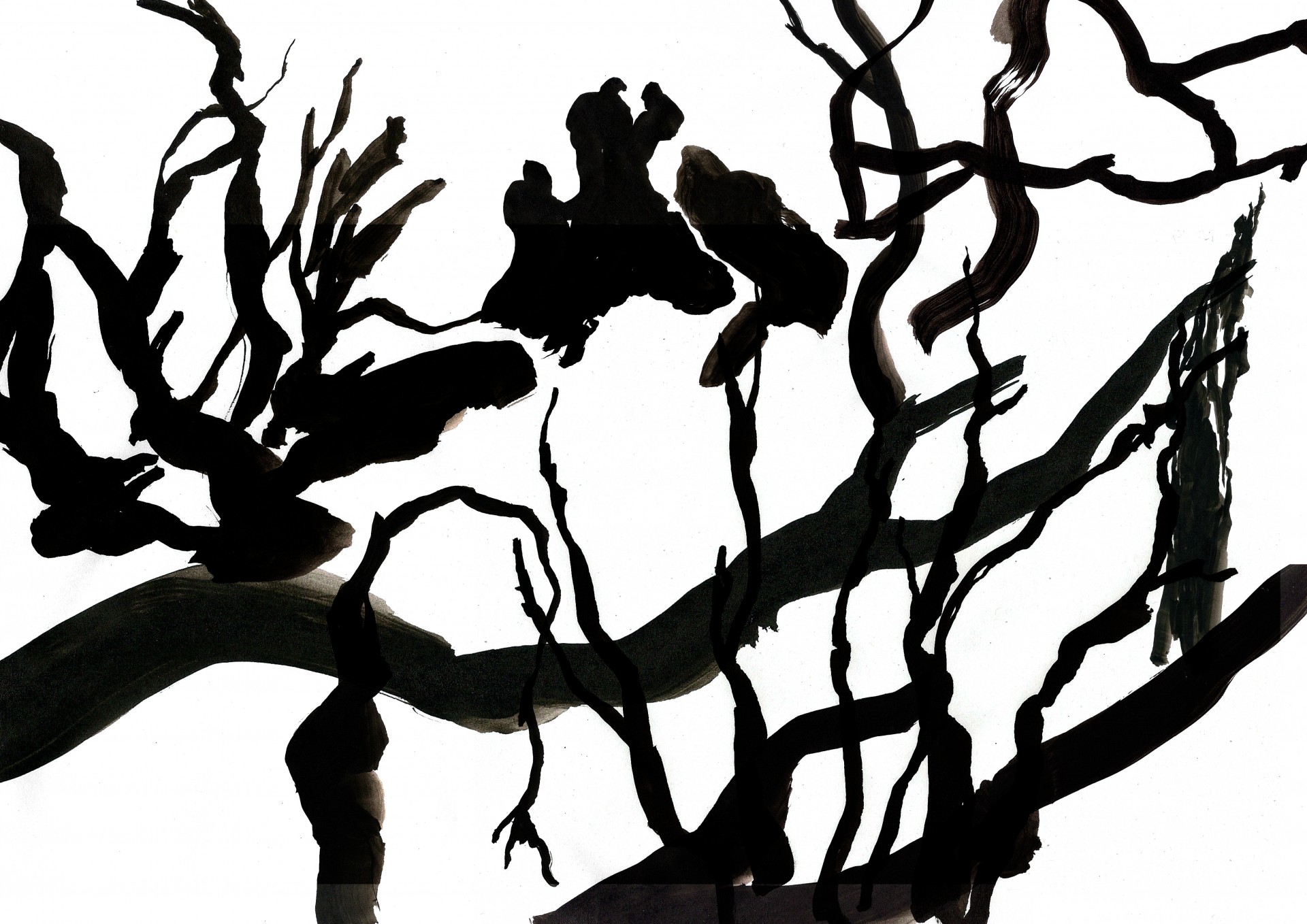 Jessica Minn Tree skeletons | Illustration